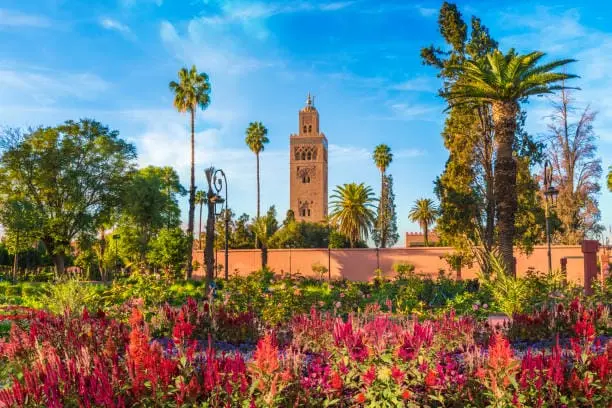 Combien coûte une Conciergerie par mois sur Marrakech ?
